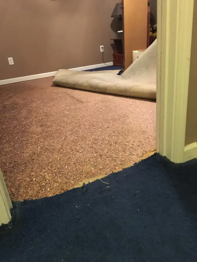 Carpet pad removal revealing water damage during Water Mitigation Services in Monson